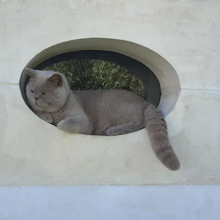 Ferienhaus Les Jardins De Clerjotte Saint-Martin-de-Ré