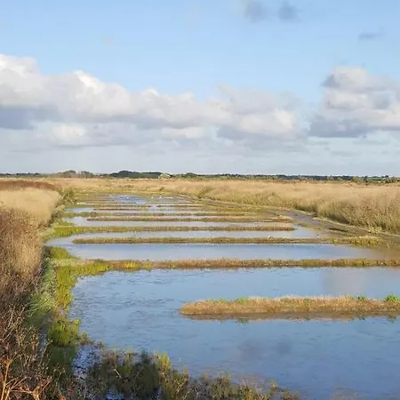 Ferienhaus Les Jardins De Clerjotte Saint-Martin-de-Ré